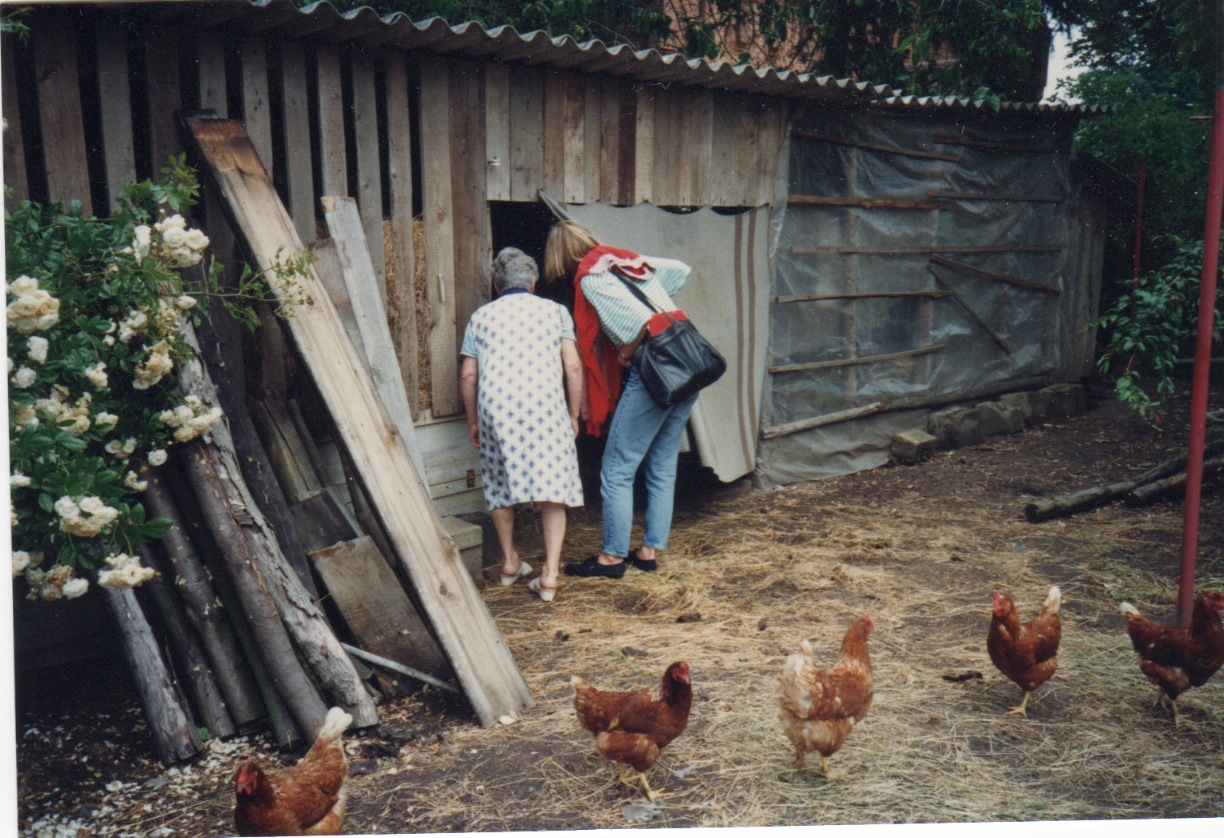 Älter werden wir später 3.jpeg